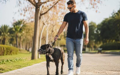 Certificado para Perros Potencialmente Peligrosos (PPP): Qué Es y Cómo Obtenerlo